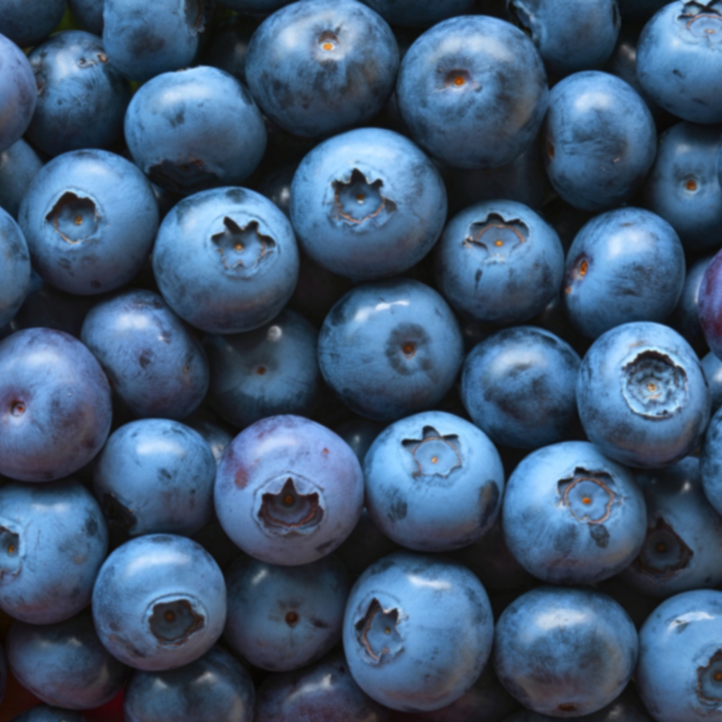 alimentos de temporada