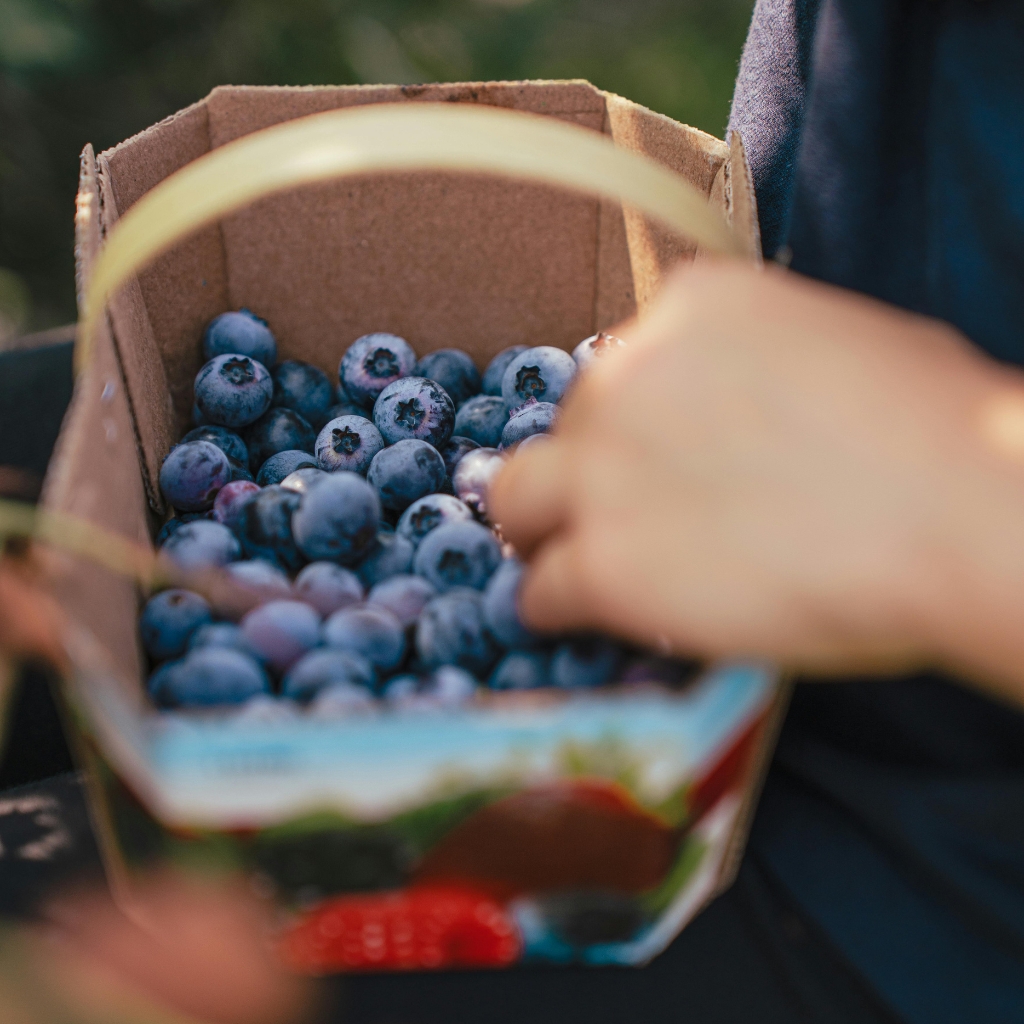 fruta